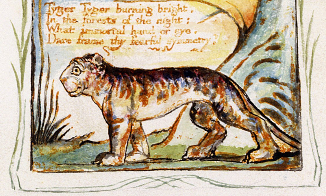 The Tyger By William Blake Tiger Therapy